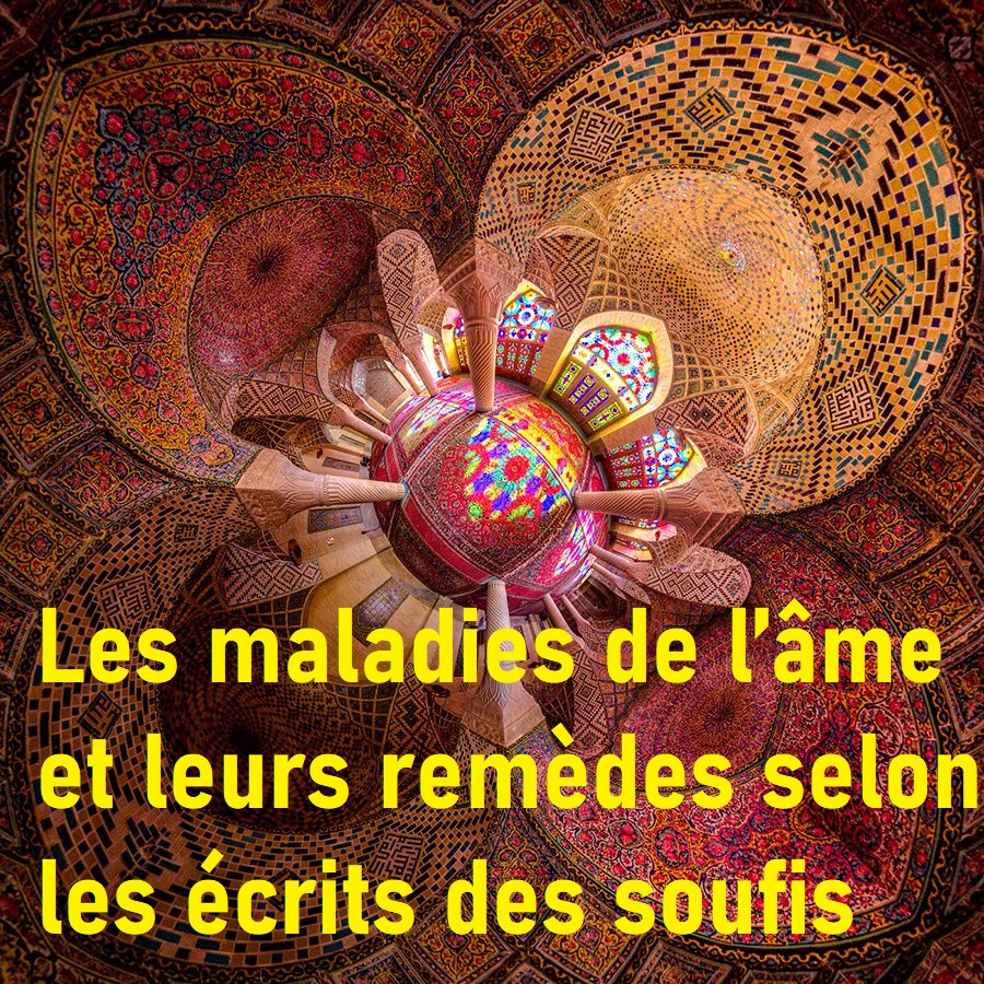 L'espèce Humaine Et Autres écrits Des Camps Sur le Chemin du Retour: Les maladies de l’âme et leurs remèdes selon