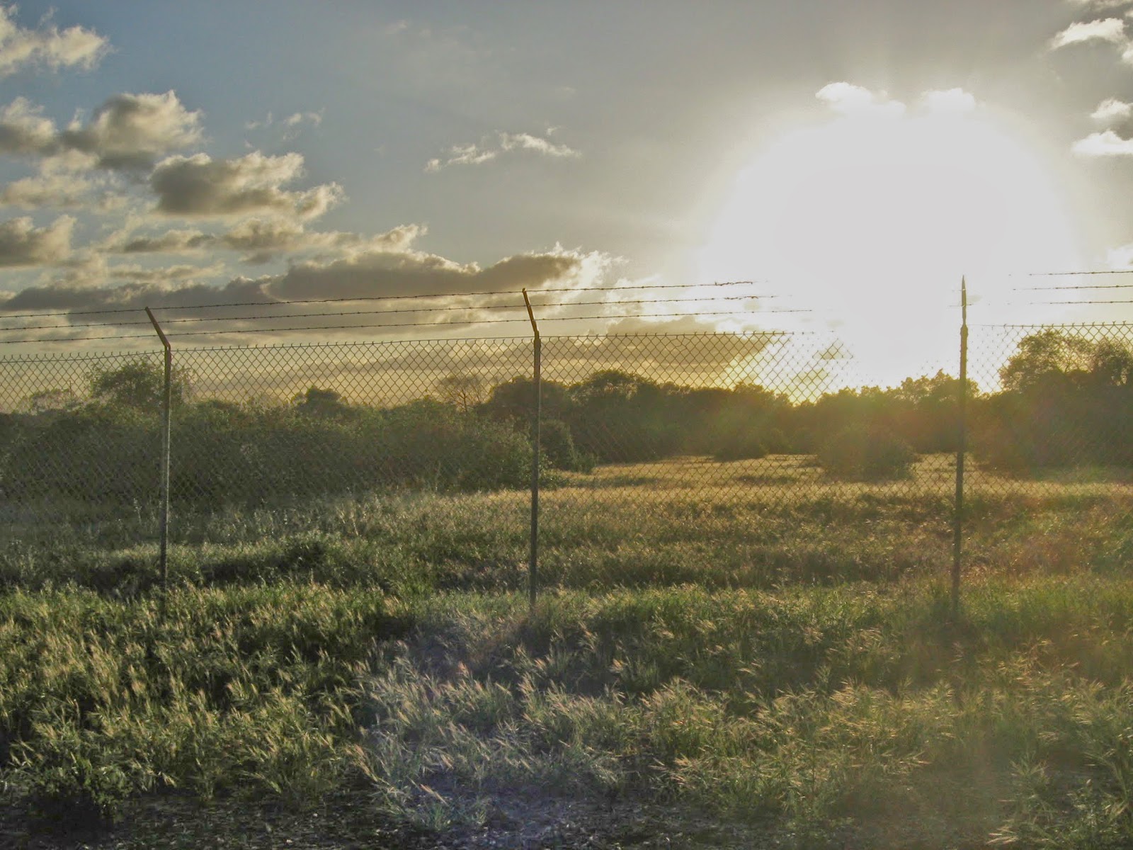 Cycling Claremont Days of Sweeping Winds