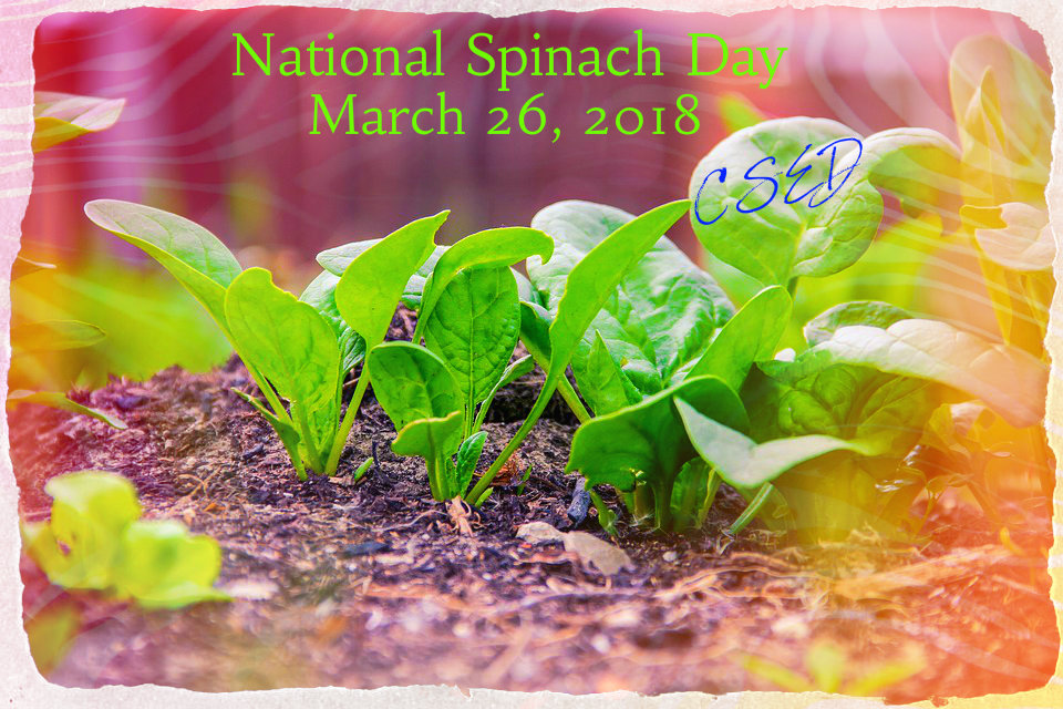 Crazy Days To Celebrate March 26 2018 Crazy Days To Celebrate March 26 2018