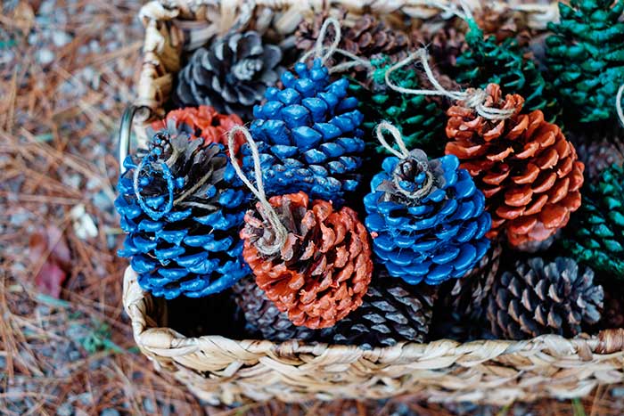 How to Make DIY Pine Cone Fire Starters - Everything Pretty