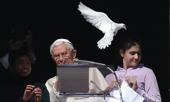 http://1.bp.blogspot.com/-H8EO23ePT7I/UQg3emCmukI/AAAAAAAAQGc/vX17WNr3tBg/s640/A-seagull-swooped-in-and-attacked-the-dove-released-by-Pope-Benedict-XVI-from-a-balcony-at-the-Vatican-on-Holocaust-Day.jpg