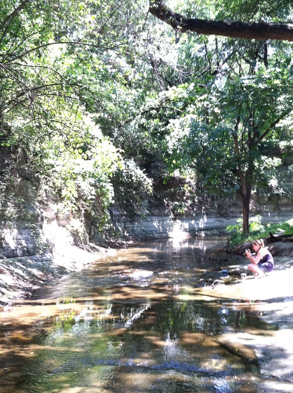 Defined The Daily Life of a College Graduate The Turtle Creek Turtles