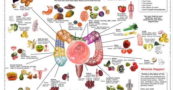 Let Food Be Thy Medicine: Doctrine Of Signatures Chart