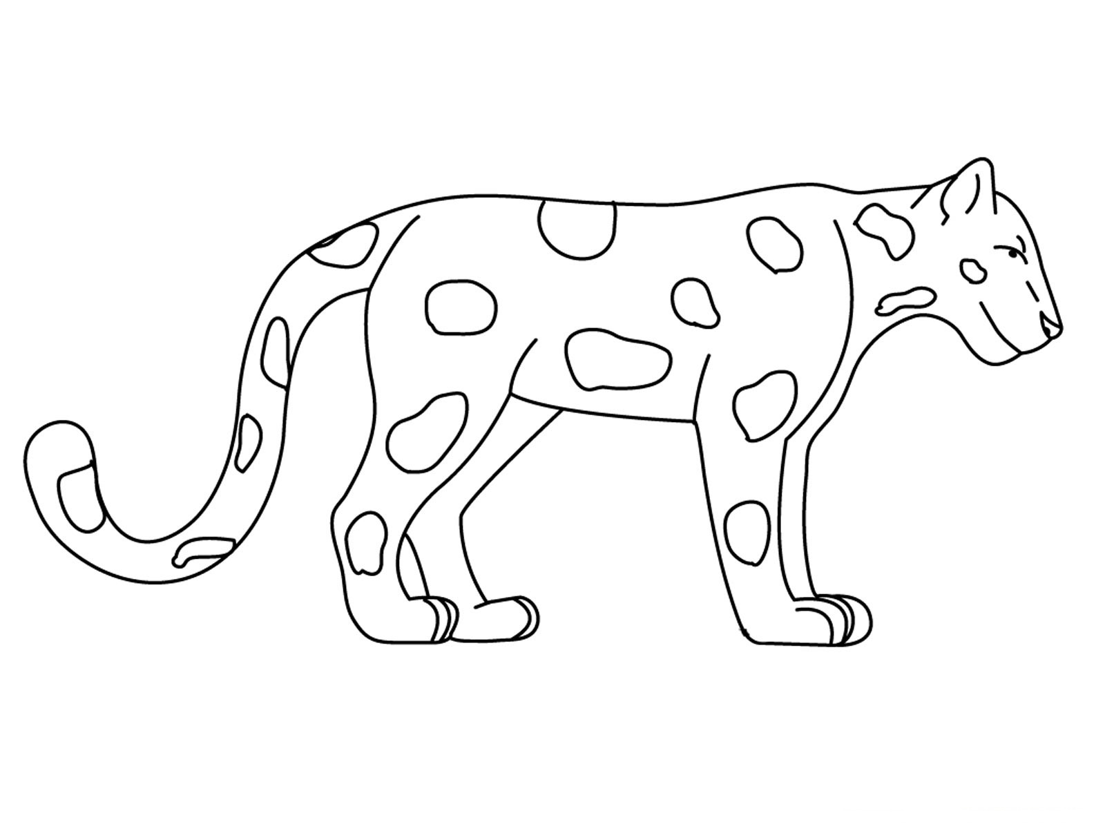 jaguar coloring pages printable - photo #10