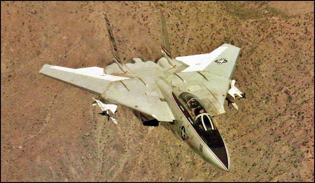 F-14+flecha.jpg
