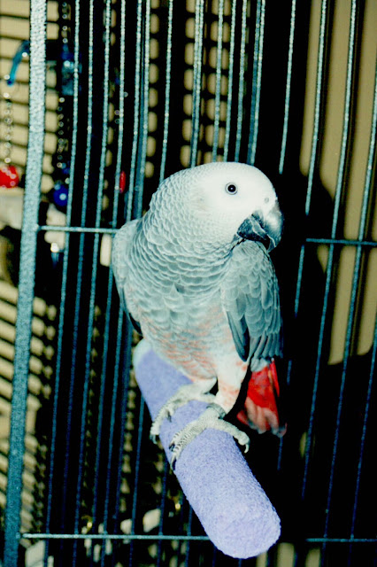 Quincy0900_2.jpg