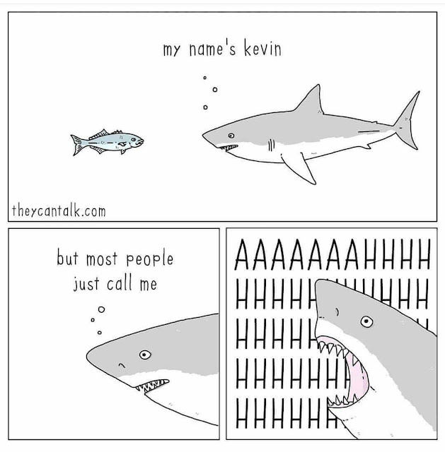 Shark Memes