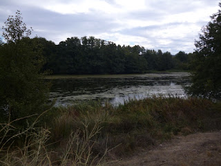 Cauce del río Tormes