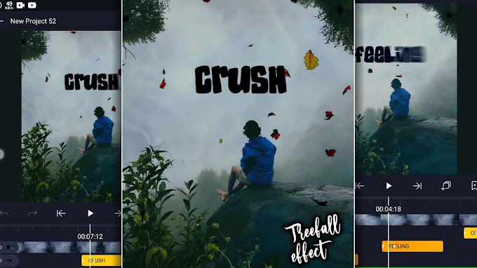 How to make new trends #treefall lyrics video editing for Instagram in Alight motion