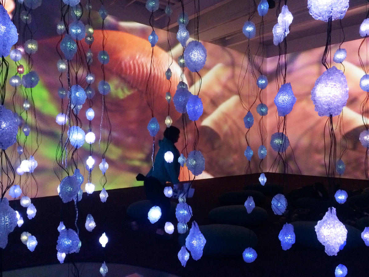 STEVEN ALEXANDER J O U R N A L: Some Good Things From 2016