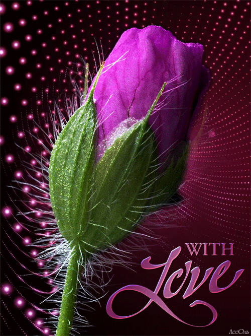 Decent Image Scraps With Love