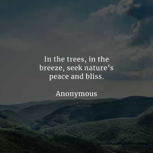 85 Nature Quotes That Ll Inspire To Love And Value Its Beauty