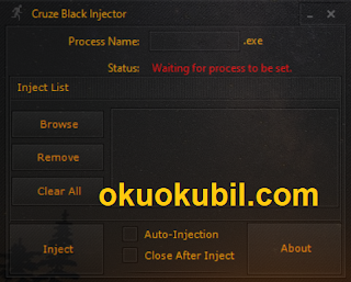 Cruze Black DLL Injector Programı Her Oyun İçin Uyumlu Güncel İndir