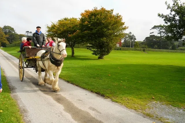 Ring of Kerry Route: A horse-drawn carriage at Muckross House