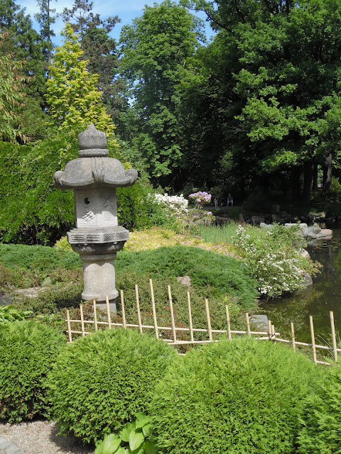 kamienna latarnia, bambusowy płotek w ogrodzie japońskim