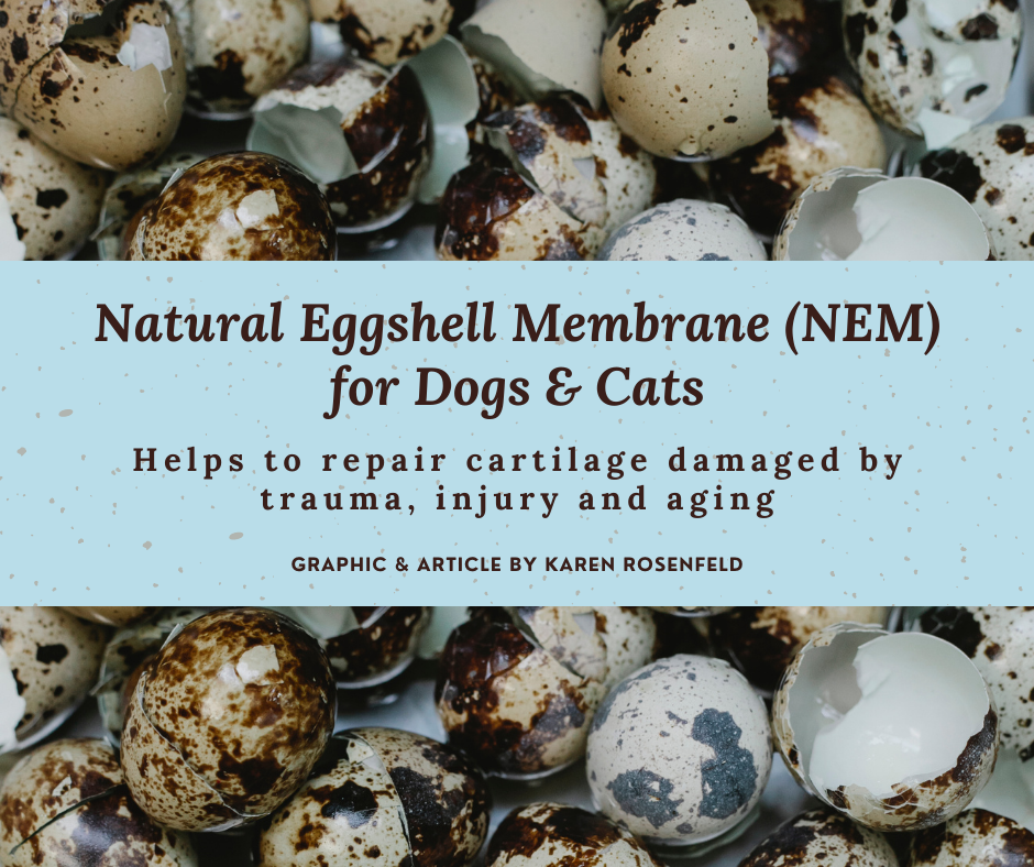 Natural Eggshell Membrane (NEM) Alternative Medicine for Dogs and Cats