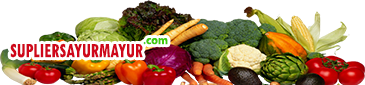 Suppliersayurmayur.com: Supplier Sayuran Segar dan Murah | Pasar Induk Online Jakarta