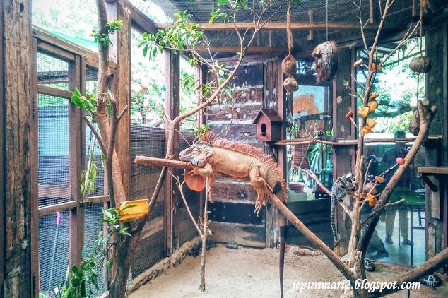 Farm in the city Farm in the city