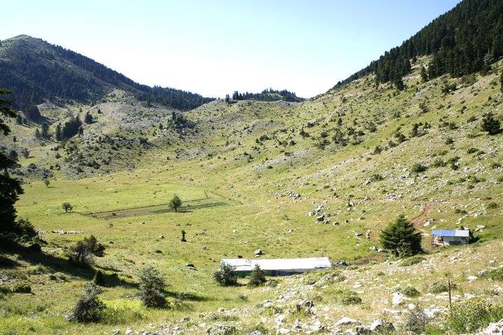 Κατακαημένα Ραδοβύζια...«Πέταξε» και το κτηνοτροφικό πάρκο