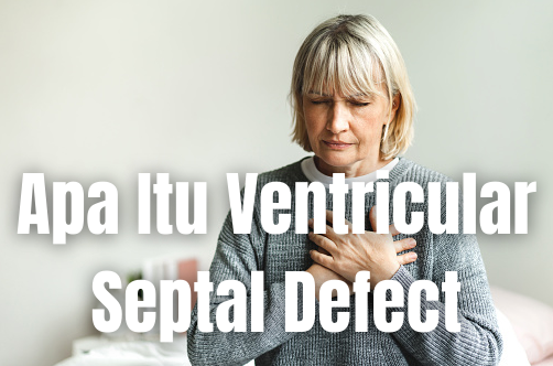 Apa Itu Ventricular Septal Defect : Pengertian, Tanda dan Gejala, Penyebab, Faktor Risiko Pengertian Ventricular Septal Defect Ventricular septal defect atau cacat septum ventrikel adalah bentuk paling umum dari cacat bawaan dua ventrikel. Dua ventrikel adalah dua kompartemen bagian bawah jantung dan mereka dipisahkan oleh bagian-bagian.   Sebelah kiri jantung biasanya memompa darah dengan tekanan yang besar dan memiliki sedikit oksigen daripada sebelah kanan. Septum ventrikel adalah lubang di septum di antara dua ventrikel.   Ventricular septal membuat darah di kedua bagian dicampur bersama, membuat darah membawa sedikit oksigen ke tubuh.   Kecacatan besar dapat menyebabkan gagal jantung, karena jantung tidak bisa memompa cukup darah. Pada anak-anak, jika anomali terjadi di sekitar katup aorta, dapat membahayakan katup ketika anak tumbuh.  Tanda dan Gejala Ventricular Septal Defect Gejala paling umum dari ventricular septal defect adalah sebagai berikut : Kelelahan, sesak napas (khususnya saat olahraga) atau sakit dada Menjadi anemia karena darah mengandung sedikit oksigen Degup jantung abnormal Sulit menaikkan berat badan  Penyebab Ventricular Septal Defect Ilmuwan belum menemukan penyebab pasti penyakit ini. Ketika bayi masih dalam kandungan, dua ventrikel disatukan satu sama lain, maka septum terbentuk. Jika ada masalah pembentukan septum, akan ada jarak di antaranya. Inilah septum ventrikel.  Faktor Risiko Ventricular Septal Defect Ventricular septal defect diturunkan dari keluarga dan kadang-kadang terjadi bersamaan dengan penyakit genetik lain seperti down syndrome.   Jika Anda sudah memiliki anak dengan kelainan jantung, ahli genetik bisa berbicara dengan Anda tentang apakah anak selanjutnya berisiko terkena penyakit yang sama atau tidak.  Nah itu dia bahasan dari apa itu penyakit Ventricular Septal Defect pada tubuh manusia. Melalui bahasan di atas bisa diketahui mengenai pengertian, tanda dan gejala, penyebab, dan faktor risiko dari penyakit Ventricular Septal Defect. Mungkin hanya itu yang bisa disampaikan di dalam artikel ini, mohon maaf bila terjadi kesalahan di dalam penulisan, dan terimakasih telah membaca artikel ini."Gob Bless and Protect Us"