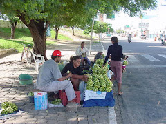 A venda do imbu na cidade