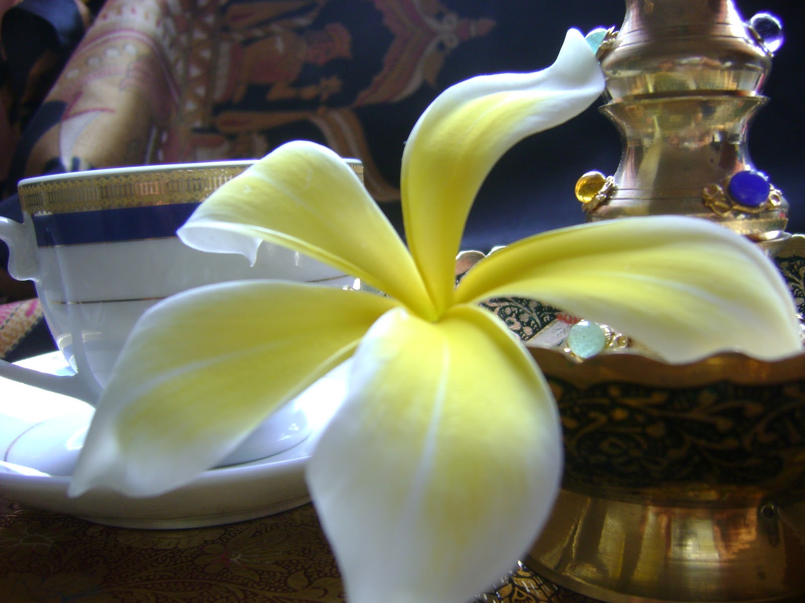 RAINBOW The Colours of India 'Frangipani Tea'....for two!...a beautiful 'SpringSummer