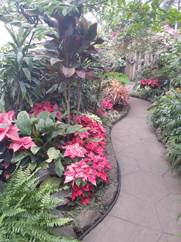 Garden Photo Of The Day 12 01 2011 01 01 2012