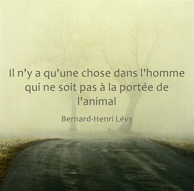 Penser Citation Philosophique Gratuit CiteDolci