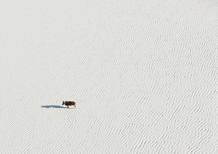 Photography : The African Savannah by Zack Seckler