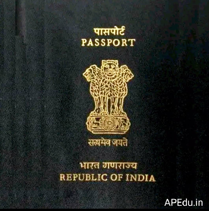 Do you know how to get an easy passport? - APEdu