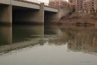 Fly Fishing Consultant: 2011
