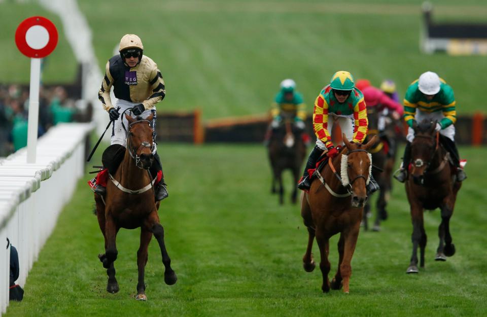 Cheltenham Roar Cheltenham Festival Stayers' Hurdle