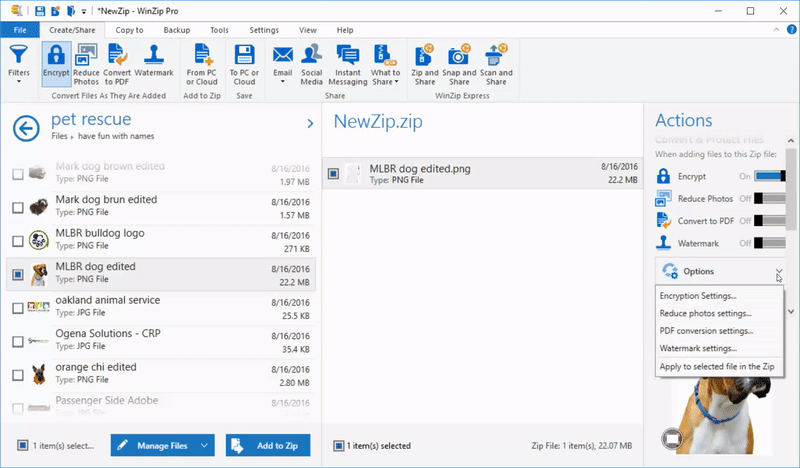 WinZip Pro 28.0.15640 Free Download Full