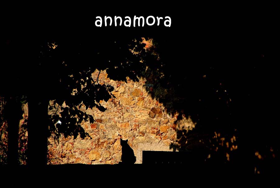 annamora