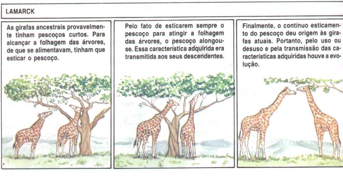 Quais As Principais Críticas A Teoria De Lamarck