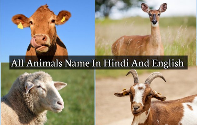 Animals Name In Hindi And English