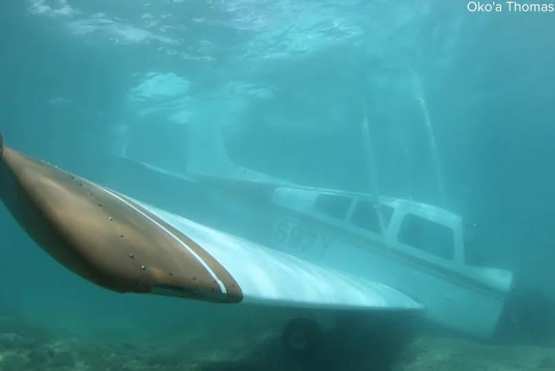 Photos Pilot & Passenger in a small plane survive after a crash into the ocean