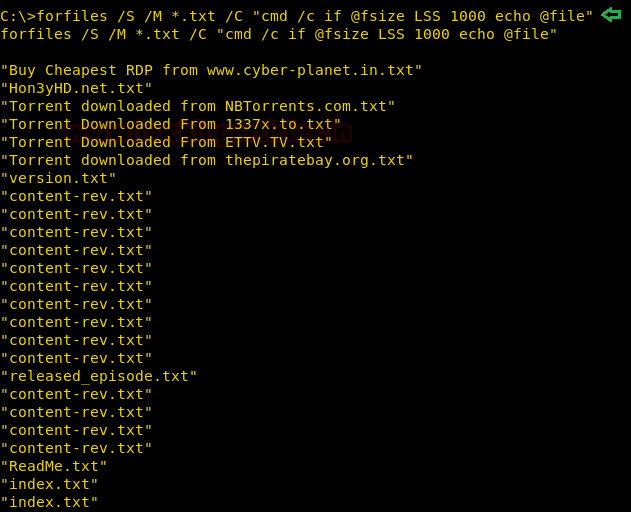 remote PC forensics investigation