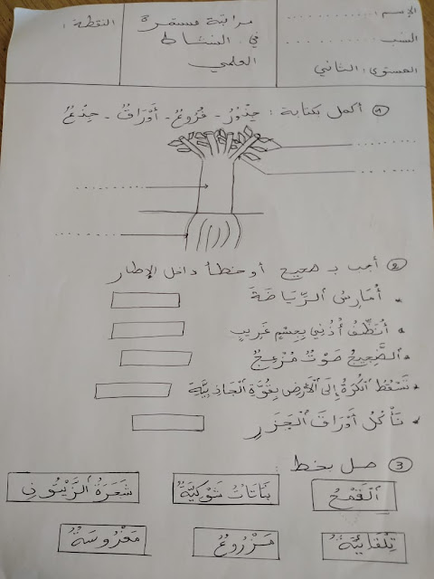 صورة