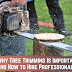 Why Tree Trimming Is Important and How to Hire Professionals?