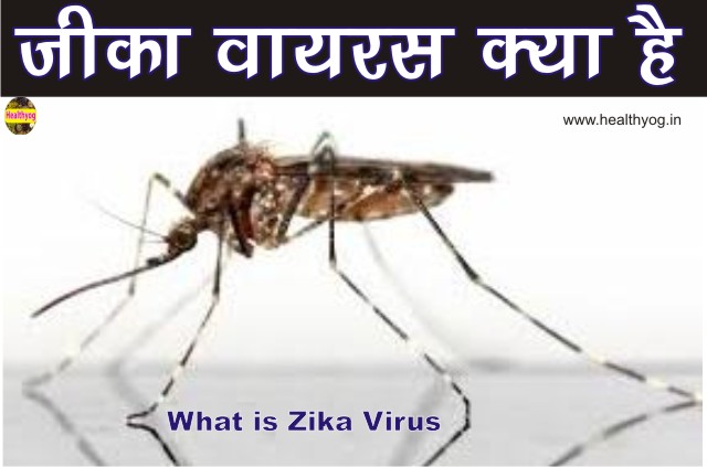 जीका वायरस क्या होता है | What is Zika Virus