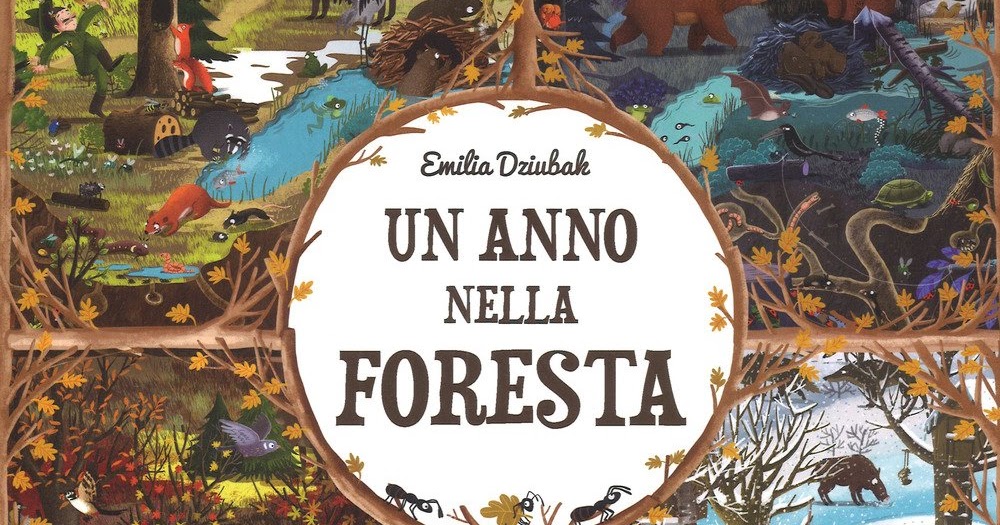 Libreria Torriani di Canzo Un anno nella foresta