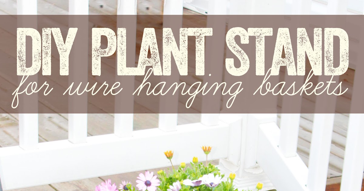 Mix And Chic Top 5 Plants To Grow For Beautiful Cut Flowers