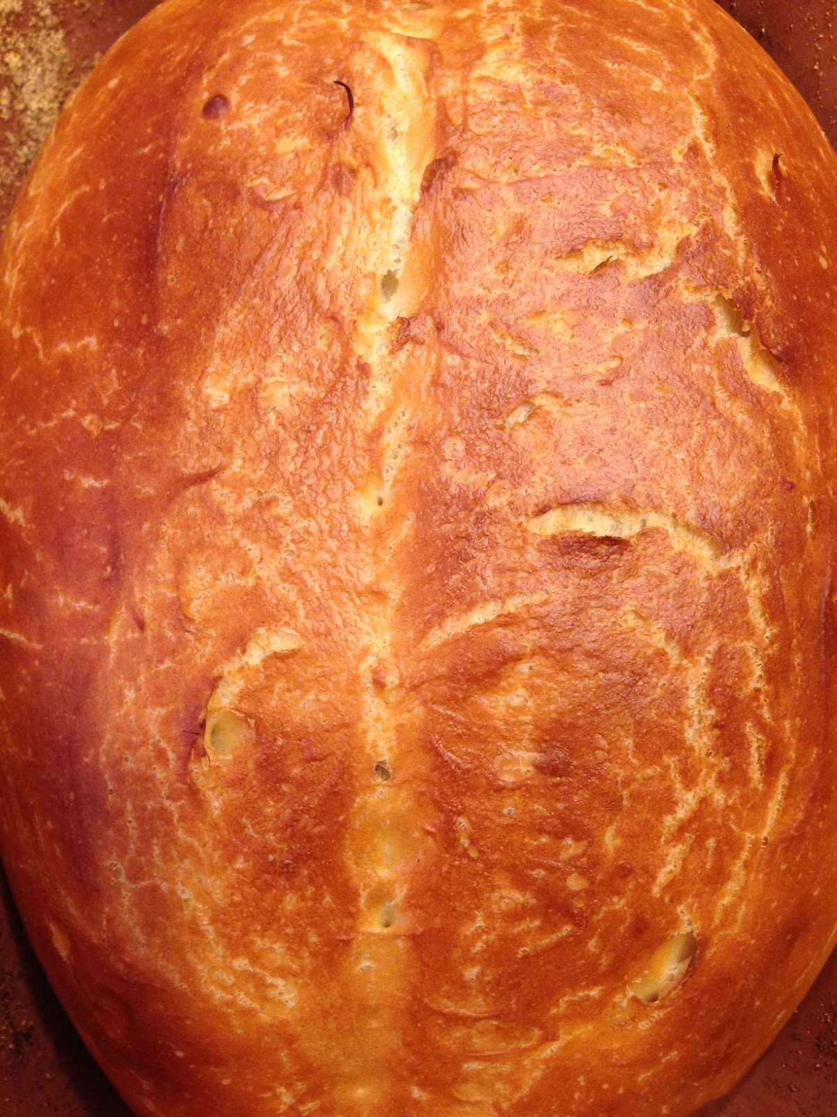 Romertopf Clay Bread Baker