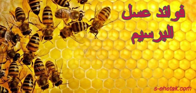 فوائد عسل البرسيم