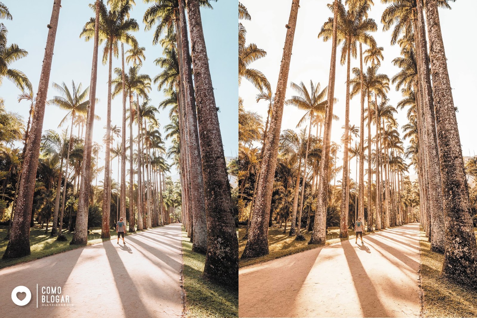Camera Raw Presets & Mobile Life Rio Preset (XMP, DNG)