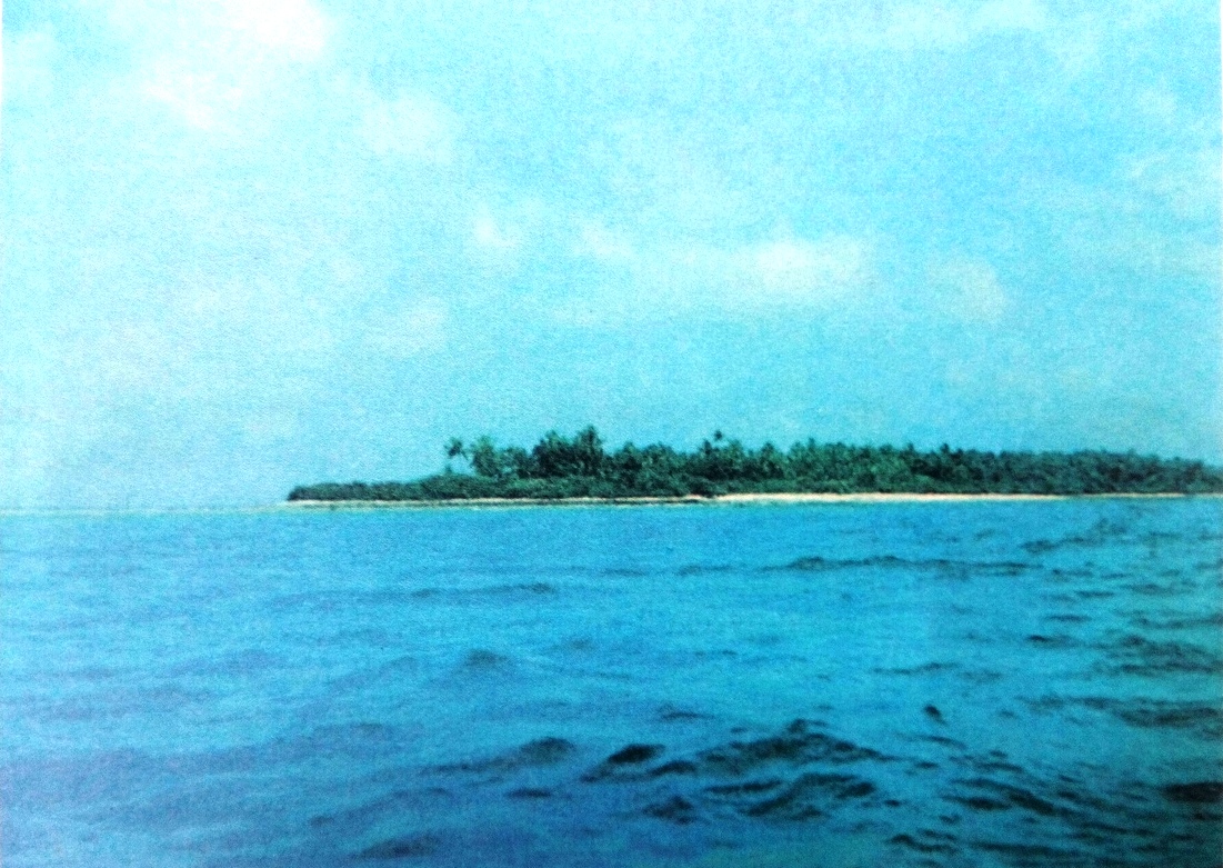 Остров суворова Остров суворова