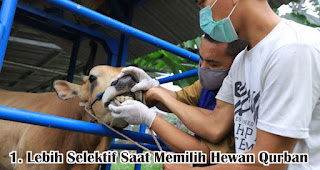 Lebih Selektif Saat Memilih Hewan Qurban merupakan salah satu tips agar tetap aman berqurban di tengah pandemi