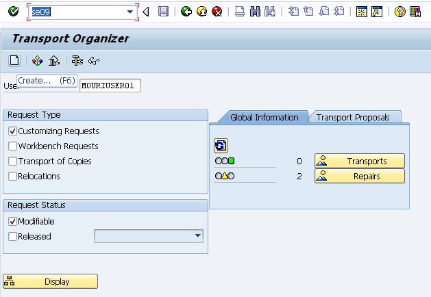 Sample Bdc Program Using Call Transaction - Ariana & Hunter