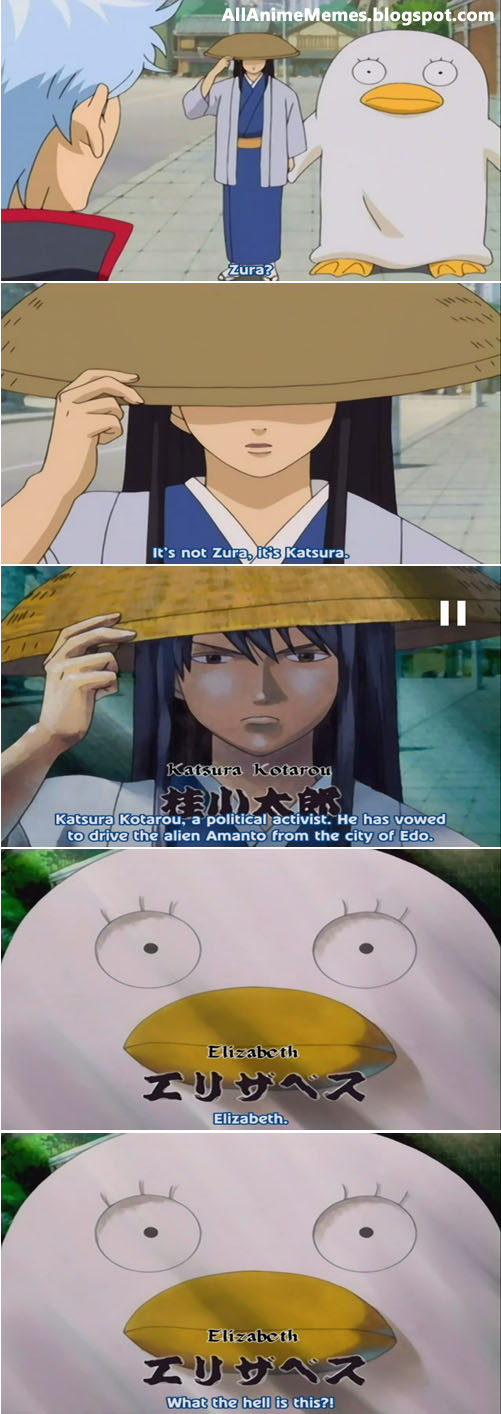 All Anime Memes Gintama Katsura Kotarou And Elizabeth Funny Meme All Anime Memes Gintama Katsura Kotarou And Elizabeth Funny Meme
